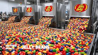 How Jelly Belly Is Made | 15 Billion Jelly Beans a Year