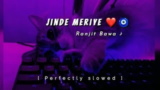 Haal Poch lay tu Gal Naal Laa k New Punjabi song (Jinde Meriye 2024) |Slow+Reverb |Haider Mirza Lofi