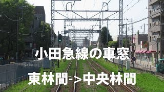 小田急線の車窓　東林間→中央林間　線路脇の緑がイイ感じ♪