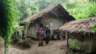 Pemberani !! Sepasang Lansia Menikmati Masa Tua Memilih Tinggal Menyendiri Di Rumah Tengah Hutan