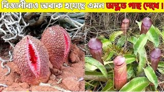 বিশ্বের বৈচিত্রময় ও আজব ১০টি গাছ যা দেখলে আপনি অবাক হবেন TOP 10 WEIRD PLANTS IN THE WORLD(720p)