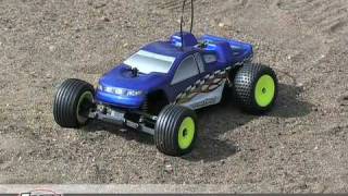 Team Losi Micro-T