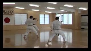 JKA Karate - Tanaka Masahiko Shihan - Hombu Dojo Instructors training!