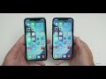 iPhone 11 vs iPhone 12 - Which Should You Choose