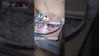 万能的蔬菜洋葱香菇大蒜切碎打碎机 vegetable onion chopping machine  喜欢的加关注哦