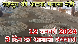 12 जनवरी 2024 मनासा मंडी में लहसुन आवक 😱 manasa mandi bhav 🔥//#mandibhavtoday