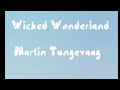 Wicked Wonderland  Martin Tungevaag