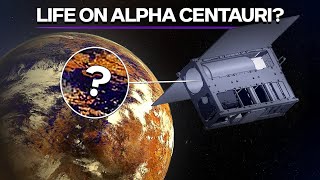 Searching For Habitable Planets In Alpha Centauri: The Toliman Mission!