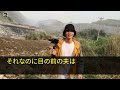 【スカッとする話】10年介護した義母が他界。夫「愛人と子供がいるから離婚しろ」私「え？」夫「離婚したら介護してくれる人が居なくなるから出来なかった」