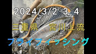 2024年三重県宮川上流アマゴ解禁！フライフィッシング