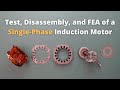 Dynamic simulation of a single-phase induction motor in ANSYS Maxwell software #5