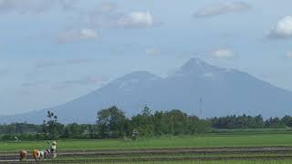 Central Java | Wikipedia audio article