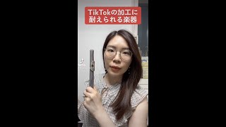 【実験】TikTokの加工の歪みに耐えられる楽器…？ #フルート#吹奏楽#検証