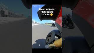 300km + | New Ducati Panigale V4 | Philip Island Circuit 2022