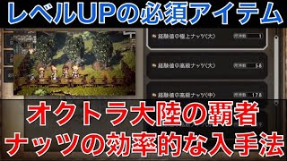 【オクトラ大陸の覇者】初心者必見！経験値ナッツの超効率的な入手方法！