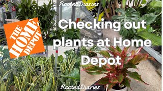 Checking Out Plants At Home Depot 🌿🌱