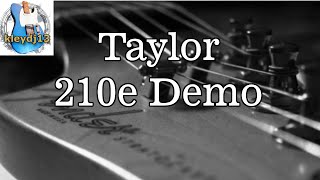 Taylor 210e Demo