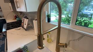 Kohler Setra Single-Handle Semi-Professional Kitchen Sink Faucet with Soap Dispenser