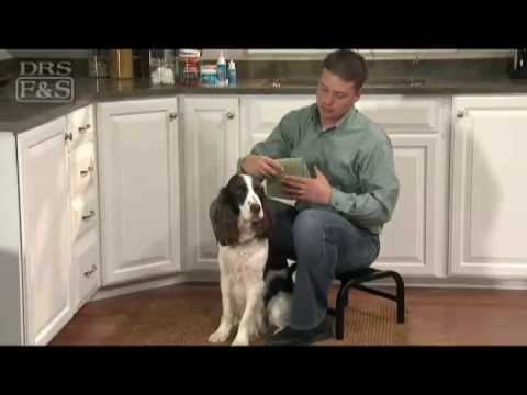 How to Clean Your Dog's Ears (DrsFosterSmith) How to Clean Your Dog's Ears (DrsFosterSmith)