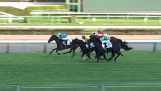 【現地】ソワドリヨン 北村宏司 3歳上1勝C