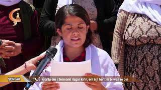 ŞENGAL  |  TAJÊ  Gerîla em ji fermanê rizgar kirin, em ê jî her tim bi wan re bin