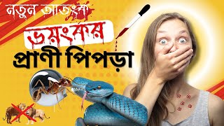 দেখতে নিরীহ, কিন্তু মুহূর্তে জীবন নেয়! এই ৫ প্রাণী সম্পর্কে জানলে শিহরিত হবেন! #ভয়ঙ্করপ্রাণী