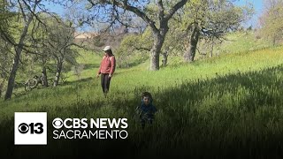 Rocklin boy pleads to save local nature area