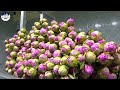 a bountiful harvest chinese peony exports coming up roses from shandong heze