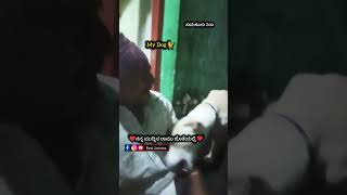 🐈ನನ್ನ ರಾಮು ಜೊತೆಯಲ್ಲಿ🐈 #ravijamuna #tumkur #sira #mydog #virelvideochannel #viralvideo