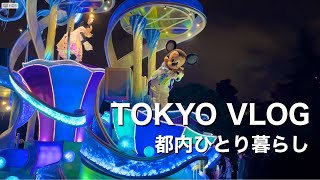 sub [vlog] 10年ぶりにディズニーランドで遊んだ日🏰／I went to Disneyland for the first time in 10 years.