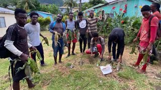 Iguana hunting in St. Vincent // Open season