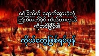 ငရဲပြည်ရောက်သွားခဲ့တဲ့ ကြက်သတ်ဒိုင်ကိုယ်စားလှယ်တစ်ဦး