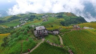 105.9.5 花蓮 六十石山 金針花季..空拍