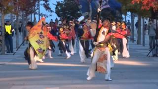 よさこい・そうか連／ダイバーシティ東京プラザ前会場／第14回ドリーム夜さ来い祭り 2015