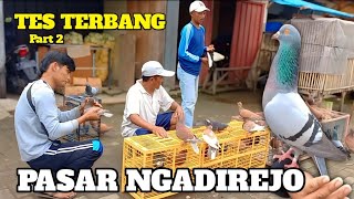 BERBURU MERPATI DI PASAR NGADIREJO TEMANGGUNG PART 2