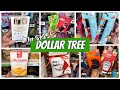 DOLLAR TREE | WHATS NEW AT DOLLAR TREE | DOLLAR TREE COME WITH ME