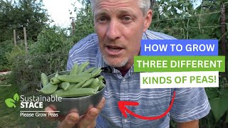 How to Grow Three Different Kinds Of Peas!