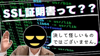 SSL証明書とは何でどういうで役割なのか、そしてフィッシングサイトに引っかからない為の心がけについて、現役のインフラエンジニアが解説します。