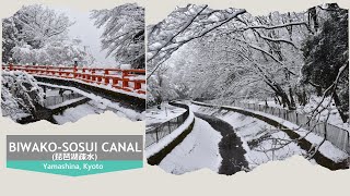 Winter Walks| BIWAKO-SOSUI CANAL (琵琶湖疎水) in Yamashina, Kyoto (京都山科)| 素晴らしい雪の日