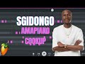 How To Make SGIDONGO Type Beats Like Mdu Aka Trp | AMAPIANO TUTORIAL (Fl Studio Mobile)