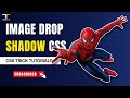 Drop Shadow Css Trick | How to give Shadow on Image with css | filter drop shadow vs box shadow