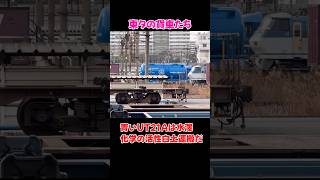 東タの貨車たち　#shorts #rollingstock #鉄道 #hd300 #ef66