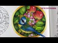 STEP BY STEP COLORING | Blue Tit & Apples // Chris Cheng
