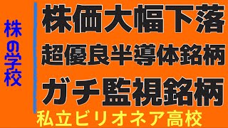 【超絶優良の半導体お宝銘柄】見逃し厳禁！株相場で勝てる脳力を身につけていただきたい。【株投資:Stock】【531-Period】