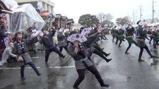 八街神社大祭　2015.11　大東区