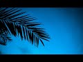 Calm Humming Background Nasheed