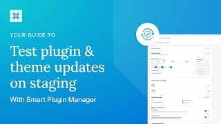 How to test plugin and theme updates on staging with Smart Plugin Manager