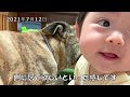 元猟犬りゅう 雷で振り返る恐怖の思い出