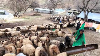 Maryam's bitter fate in the cold winter, she works for the nomads to support her children.😔😔🌧️🌧️