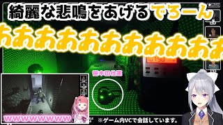 笹木に驚かされて綺麗すぎる悲鳴をあげるでろーん【にじさんじ/樋口楓/笹木咲】